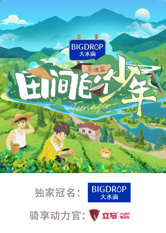 特级aav欧美暴毛