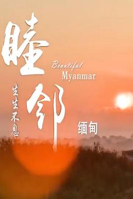 巅峰拍档第七季