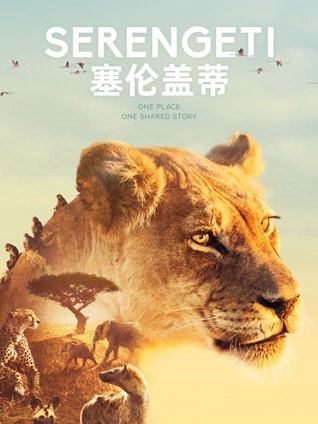 塞伦盖蒂1版